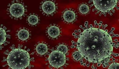 Mutasyonlu Virüs Hangi İllerde Görüldü?