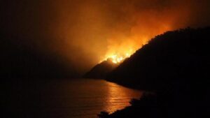 RTÜK’ten altı kanala ‘orman yangını’ cezası