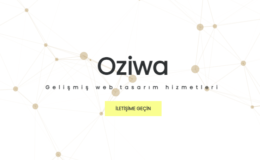 Dijital Başarının Anahtarına Oziwa İle Ulaşın