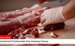 İstanbul’da Et Fiyatlarındaki Artış Vatandaşı Zorluyor