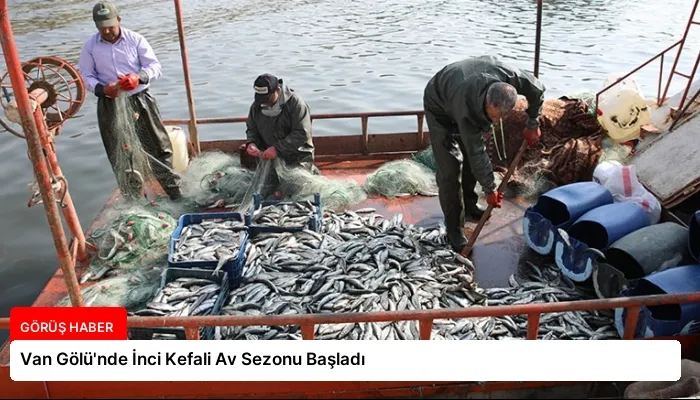 Van Gölü’nde İnci Kefali Av Sezonu Başladı