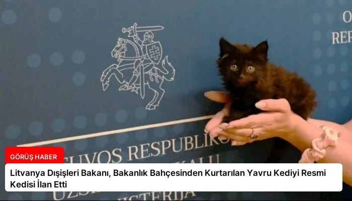 Litvanya Dışişleri Bakanı, Bakanlık Bahçesinden Kurtarılan Yavru Kediyi Resmi Kedisi İlan Etti
