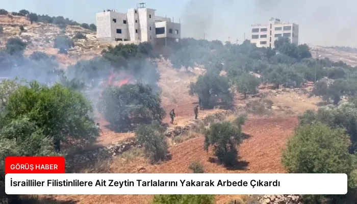 İsrailliler Filistinlilere Ait Zeytin Tarlalarını Yakarak Arbede Çıkardı