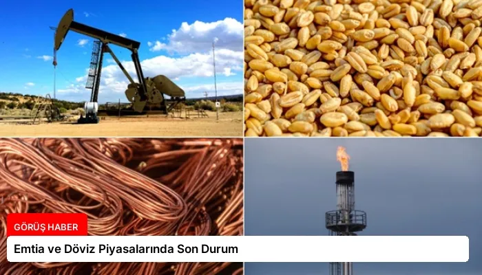 Emtia ve Döviz Piyasalarında Son Durum