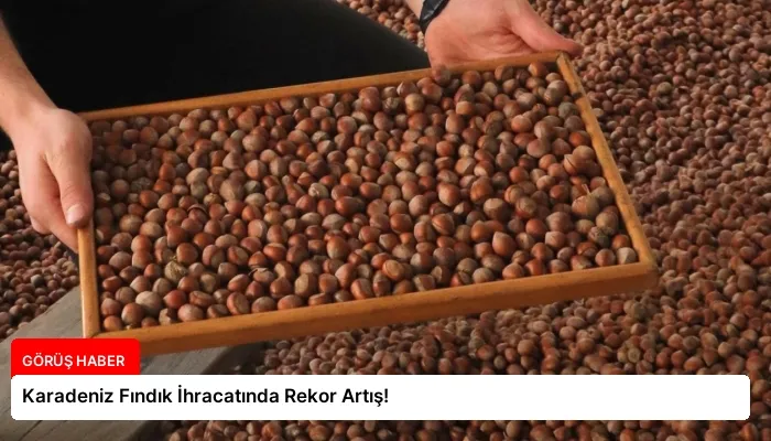 Karadeniz Fındık İhracatında Rekor Artış!
