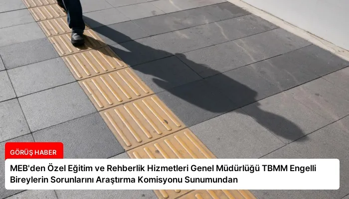 MEB’den Özel Eğitim ve Rehberlik Hizmetleri Genel Müdürlüğü TBMM Engelli Bireylerin Sorunlarını Araştırma Komisyonu Sunumundan