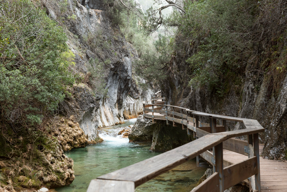 Köprülü Kanyon Rafting