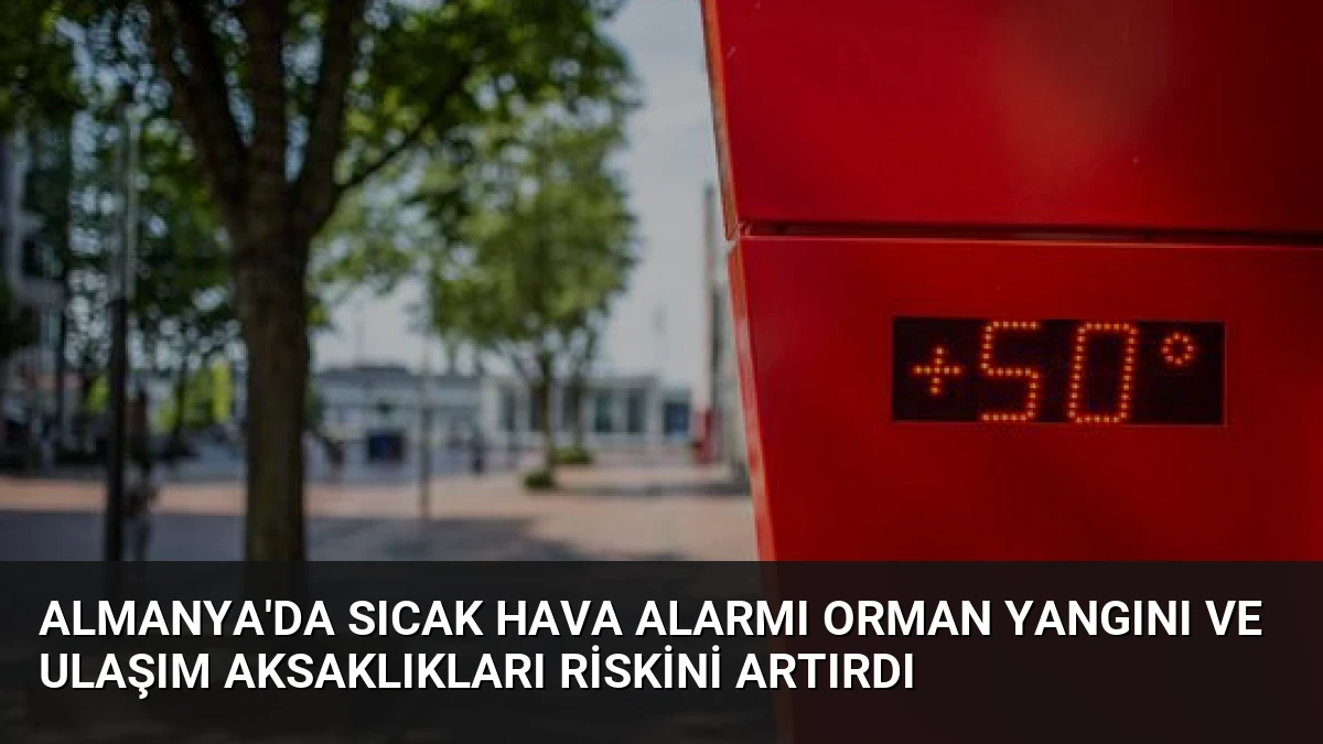 Almanya’da Sıcak Hava Alarmı Orman Yangını ve Ulaşım Aksaklıkları Riskini Artırdı