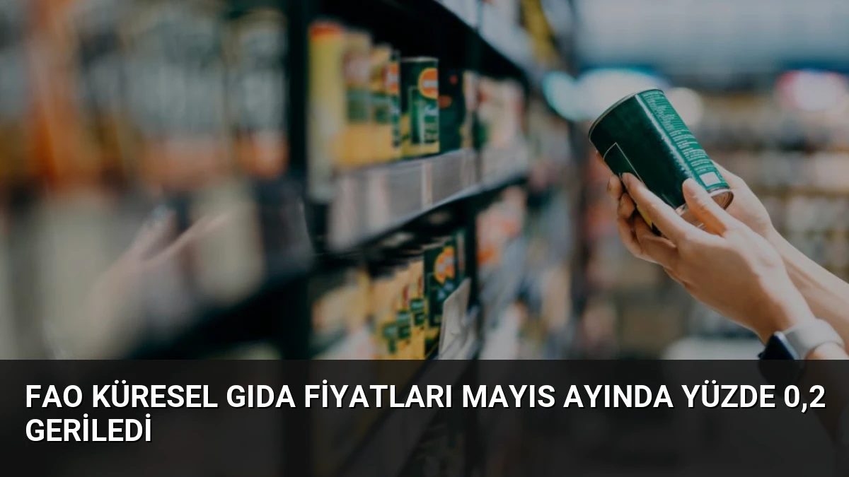 FAO Küresel Gıda Fiyatları Mayıs Ayında Yüzde 0,2 Geriledi