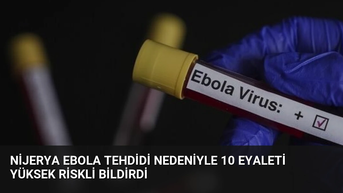 Nijerya Ebola Tehdidi Nedeniyle 10 Eyaleti Yüksek Riskli Bildirdi