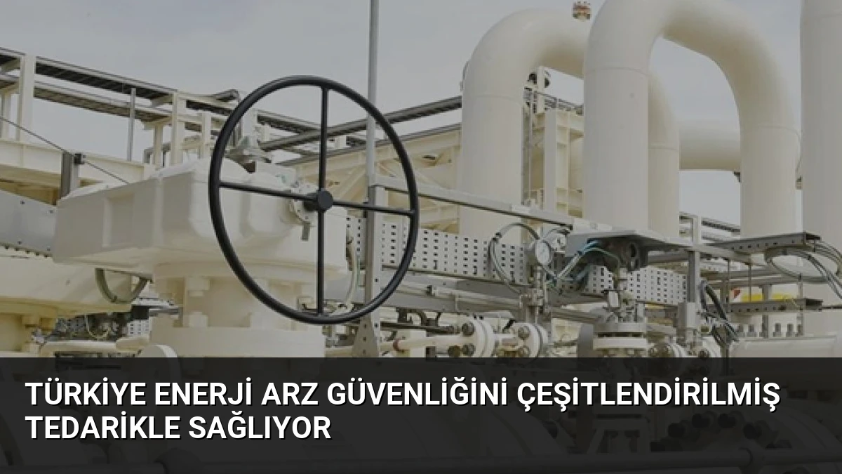 Türkiye Enerji Arz Güvenliğini Çeşitlendirilmiş Tedarikle Sağlıyor