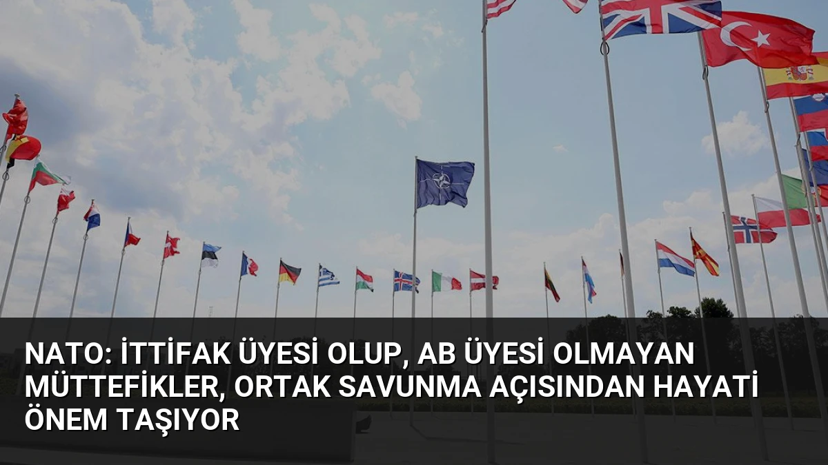 NATO: İttifak üyesi olup, AB üyesi olmayan müttefikler, ortak savunma açısından hayati önem taşıyor