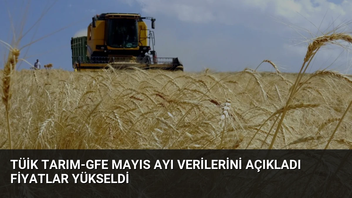 TÜİK Tarım-GFE Mayıs Ayı Verilerini Açıkladı Fiyatlar Yükseldi