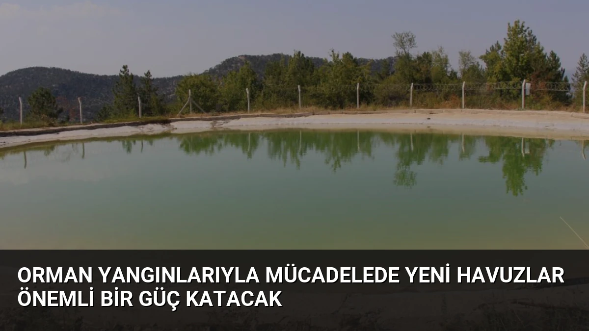 Orman Yangınlarıyla Mücadelede Yeni Havuzlar Önemli Bir Güç Katacak