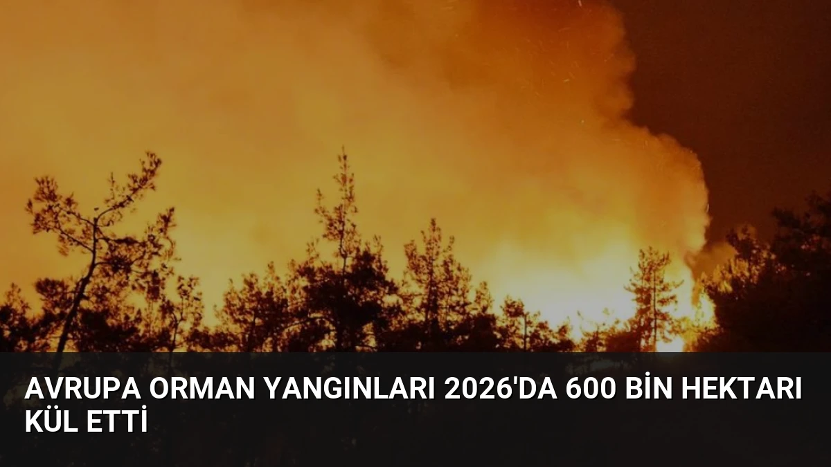 Avrupa Orman Yangınları 2026’da 600 Bin Hektarı Kül Etti