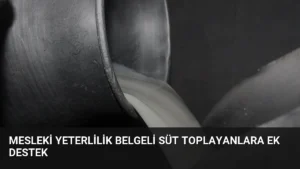 Mesleki Yeterlilik Belgeli Süt Toplayanlara Ek Destek