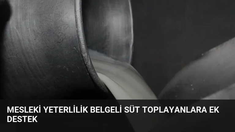 Mesleki Yeterlilik Belgeli Süt Toplayanlara Ek Destek