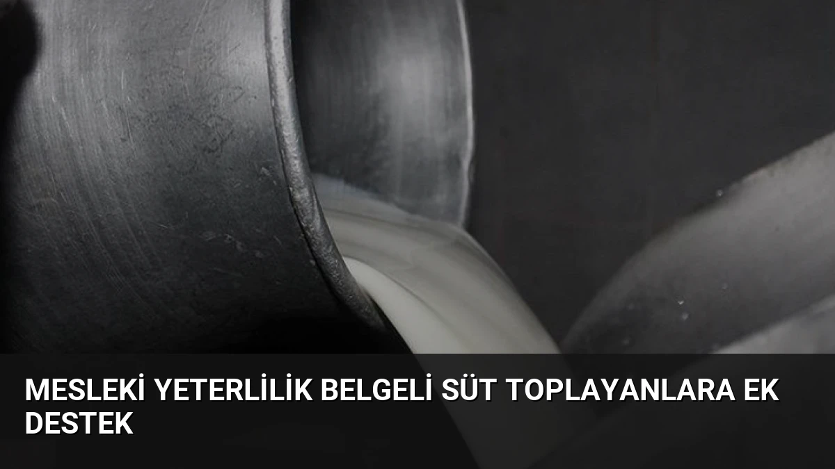 Mesleki Yeterlilik Belgeli Süt Toplayanlara Ek Destek