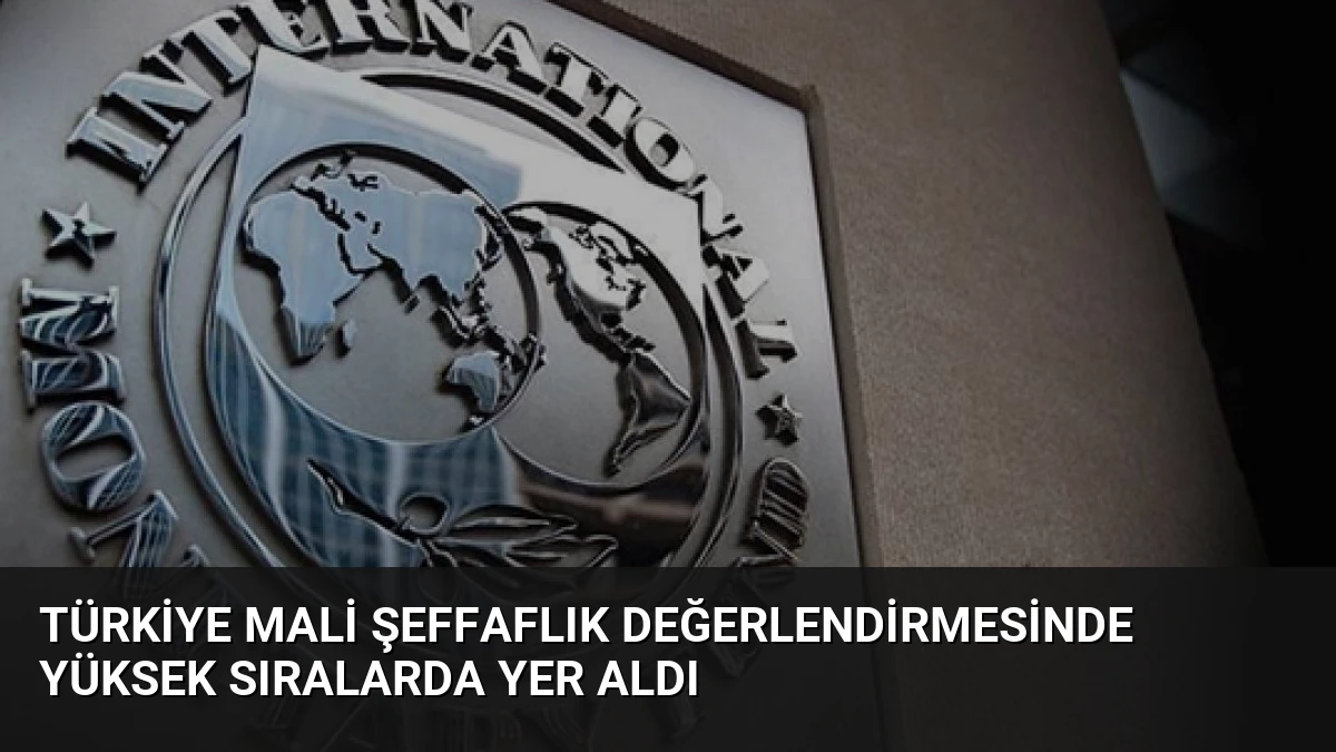 Türkiye Mali Şeffaflık Değerlendirmesinde Yüksek Sıralarda Yer Aldı